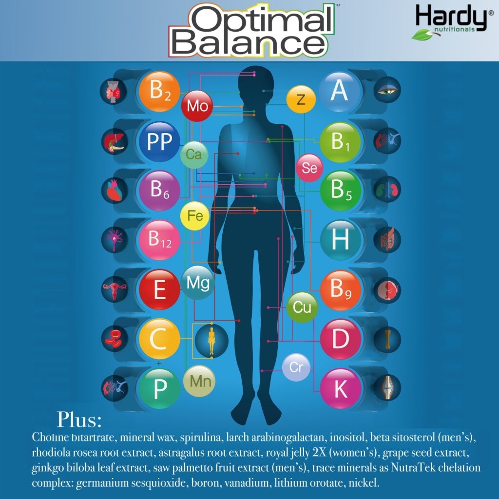 Prenatal Draft 1 Hardy Nutritionals What Chemical Elements Make Up The Human Body