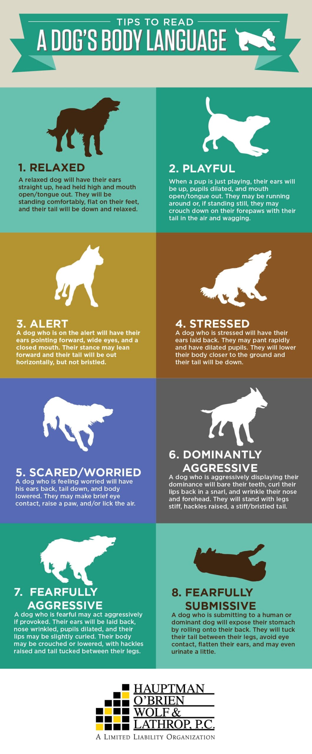Preventing Dog Bites How To Read A Dog S Body Language