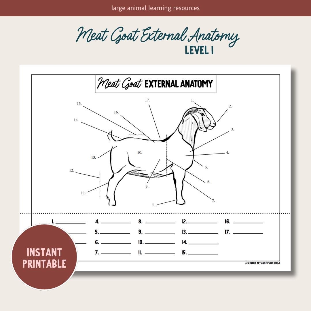 A Guide To Goat Body Conformation Weed Em Reap