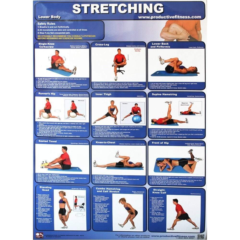 Productive Fitness Posters Stretching Exercise Upper Lower Body For Home Use Walmart Productive Fitness Posters Stretching Exercise Upper Lower Body For Home Use Walmart