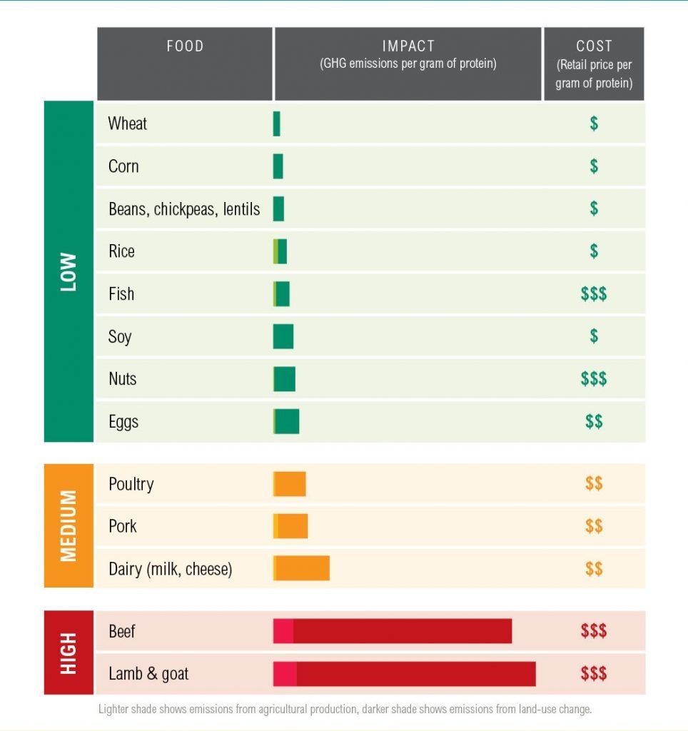 Protein The Nutrition Source