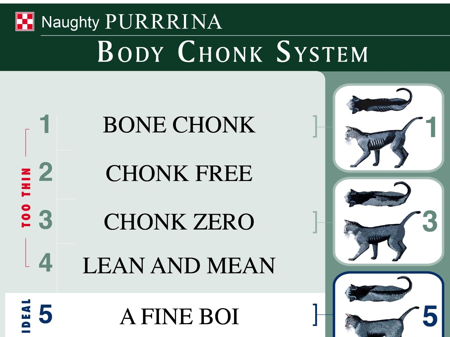 Purrrina Cat Feline Body Chonk Weight Chart For Vets Office Etsy Purrrina Cat Feline Body Chonk Weight Chart For Vets Office Etsy