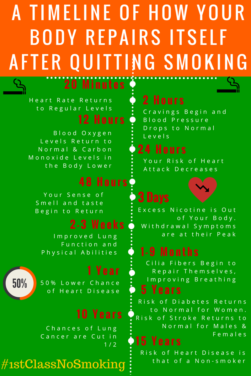 Quitting Smoking A Timeline Of How Your Body Repairs Itself Affordable Portable Oxygen Concentrators 1st Class Medical