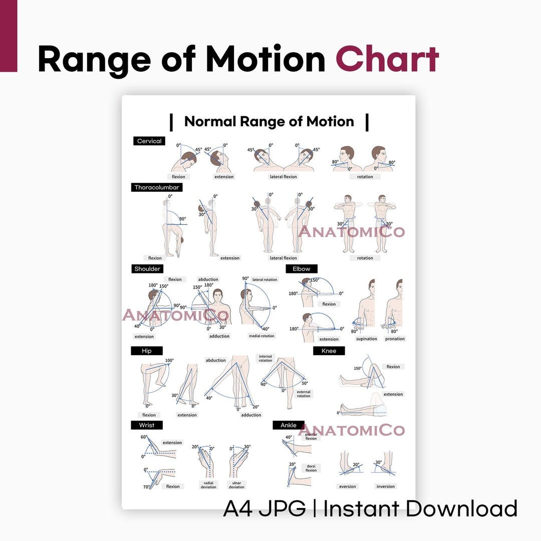 Range Of Motion Chart Printable ROM Reference Poster A4 JPG Etsy