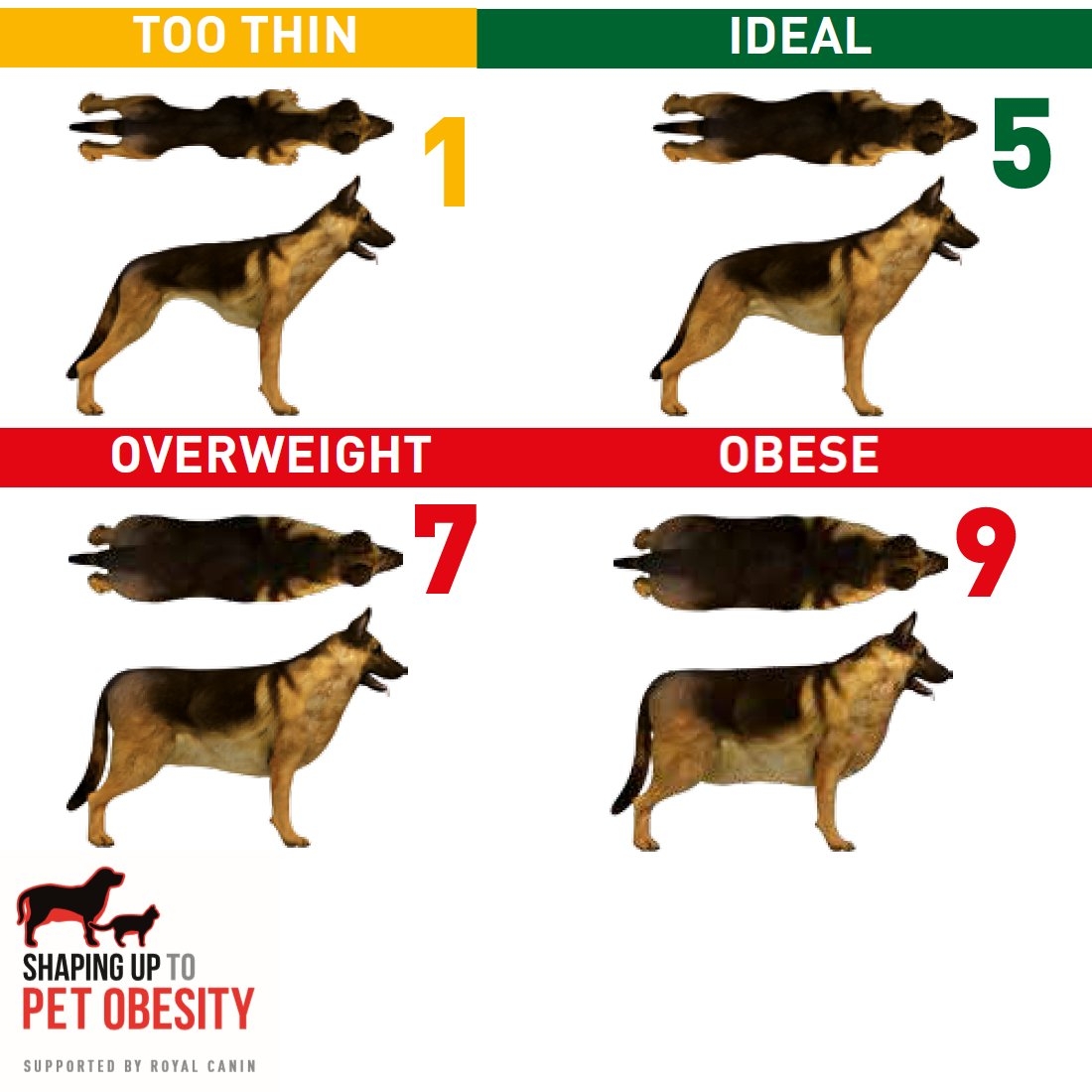 Royal Canin UK Royalcaninuk Posts X