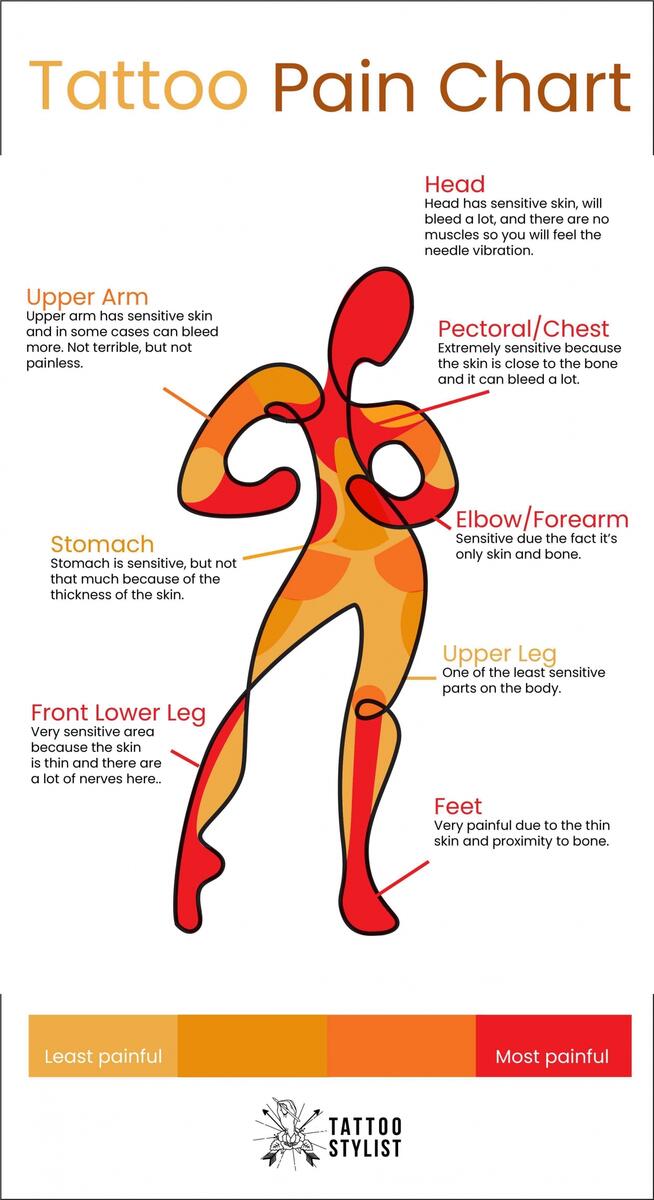Scared Of Tattoo Pain Here Are The Facts You Need Tattoo Pain Chart Included Tattoo Stylist Scared Of Tattoo Pain Here Are The Facts You Need Tattoo Pain Chart Included Tattoo Stylist