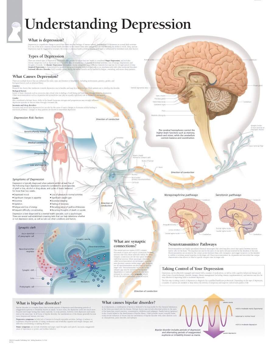 Scientific Publishing Understanding Depression Chart Scientific Publishing Understanding Depression Chart