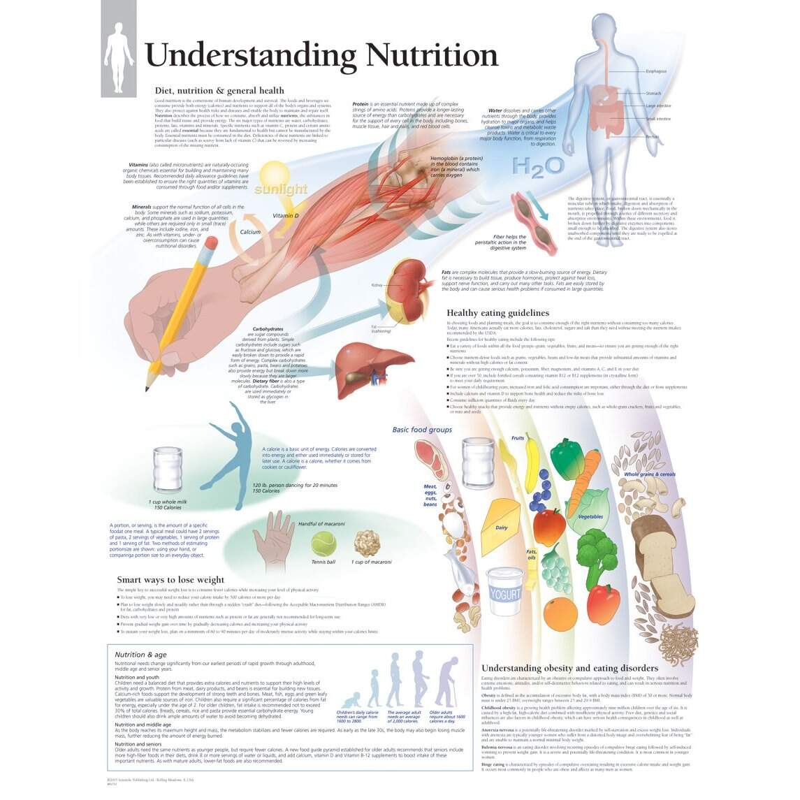 Scientific Publishing Understanding Nutrition Chart