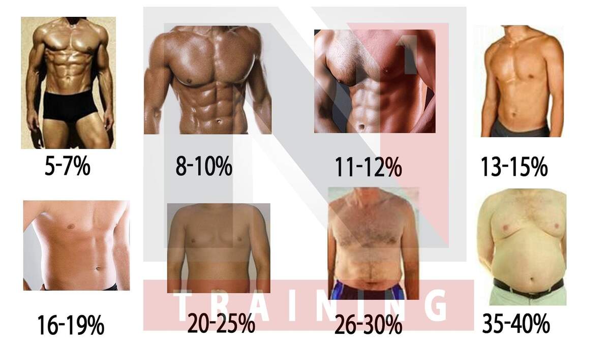 Male Body Fat Percentage Chart Visual Guide Health Fit Man Men Diet Slim Data Stock Illustration Illustration Of Chart Athletic 379362968