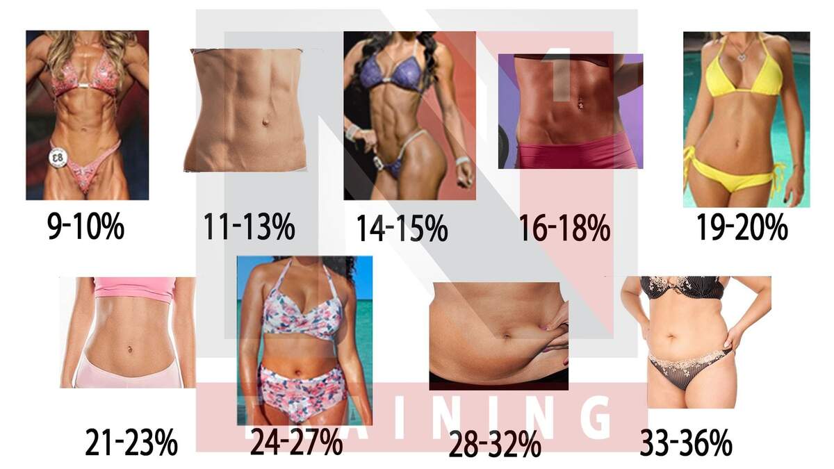 How To Calculate Body Fat Percentage Legion