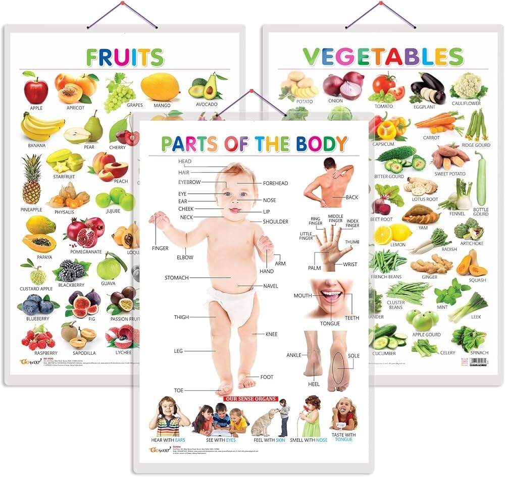 Set Of 3 Fruits Vegetables And Parts Of The Body Early Learning Educational Charts For Kids Set Of 3 Fruits Vegetables And Parts Of The Body Early Learning Educational Charts For Kids