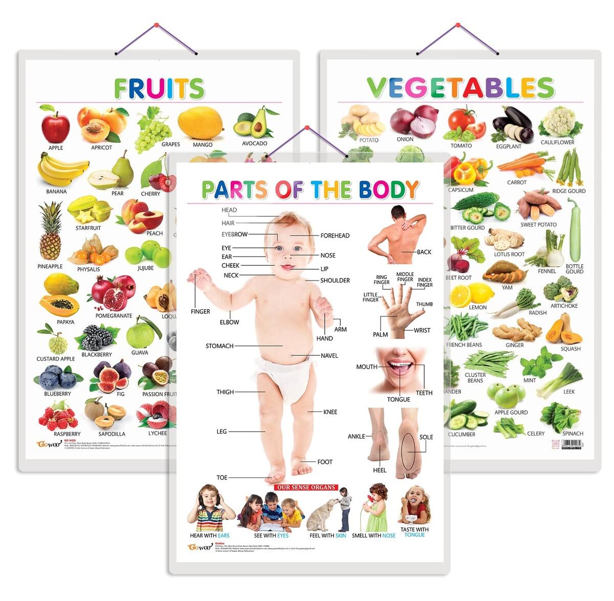 Set Of 3 Fruits Vegetables And Parts Of The Body Early Learning Educational Charts For Kids Set Of 3 Fruits Vegetables And Parts Of The Body Early Learning Educational Charts For Kids