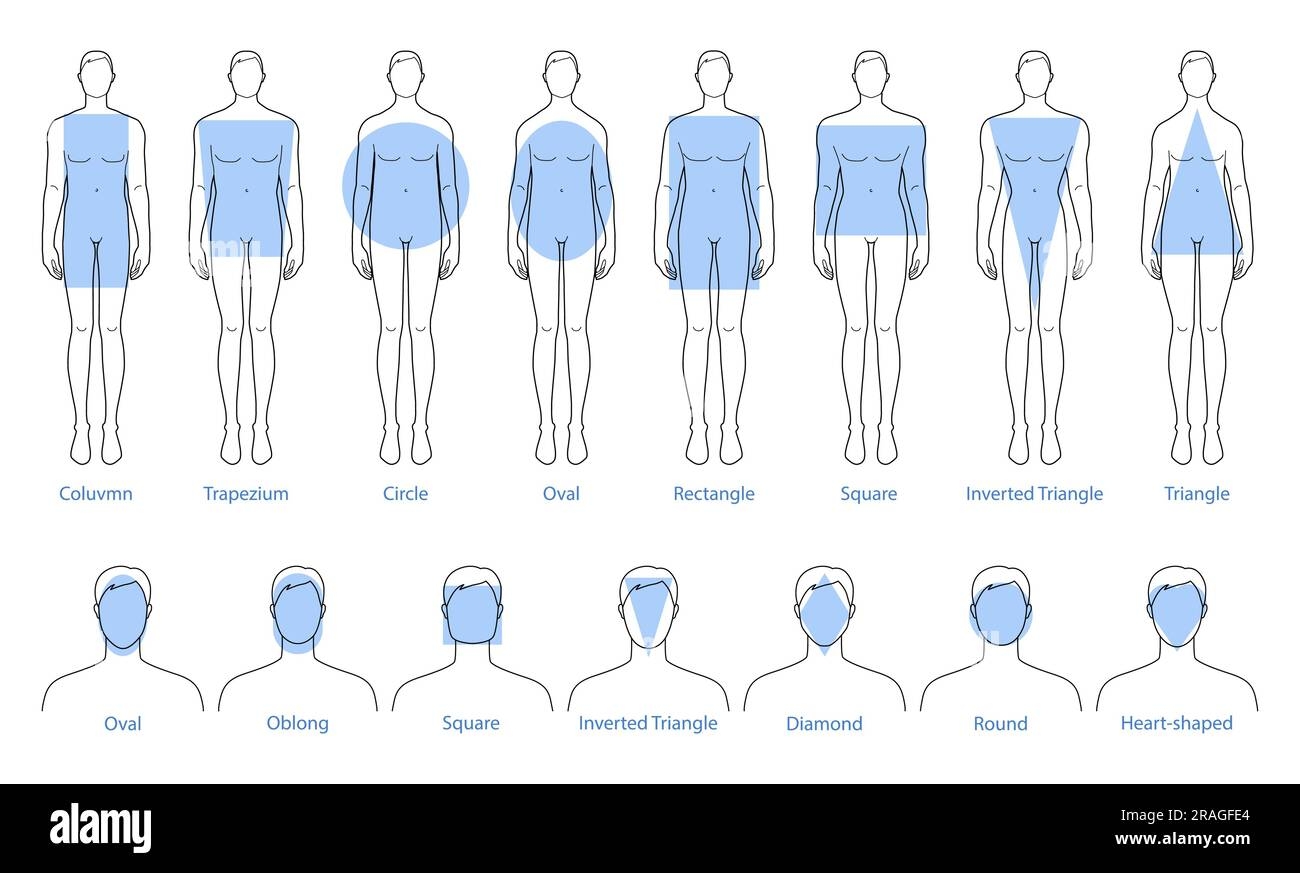 Set Of Men Face And Body Shape Types Oblong Square Inverted Triangle Diamond Round Heart And Set Of Men Face And Body Shape Types Oblong Square Inverted Triangle Diamond Round Heart And