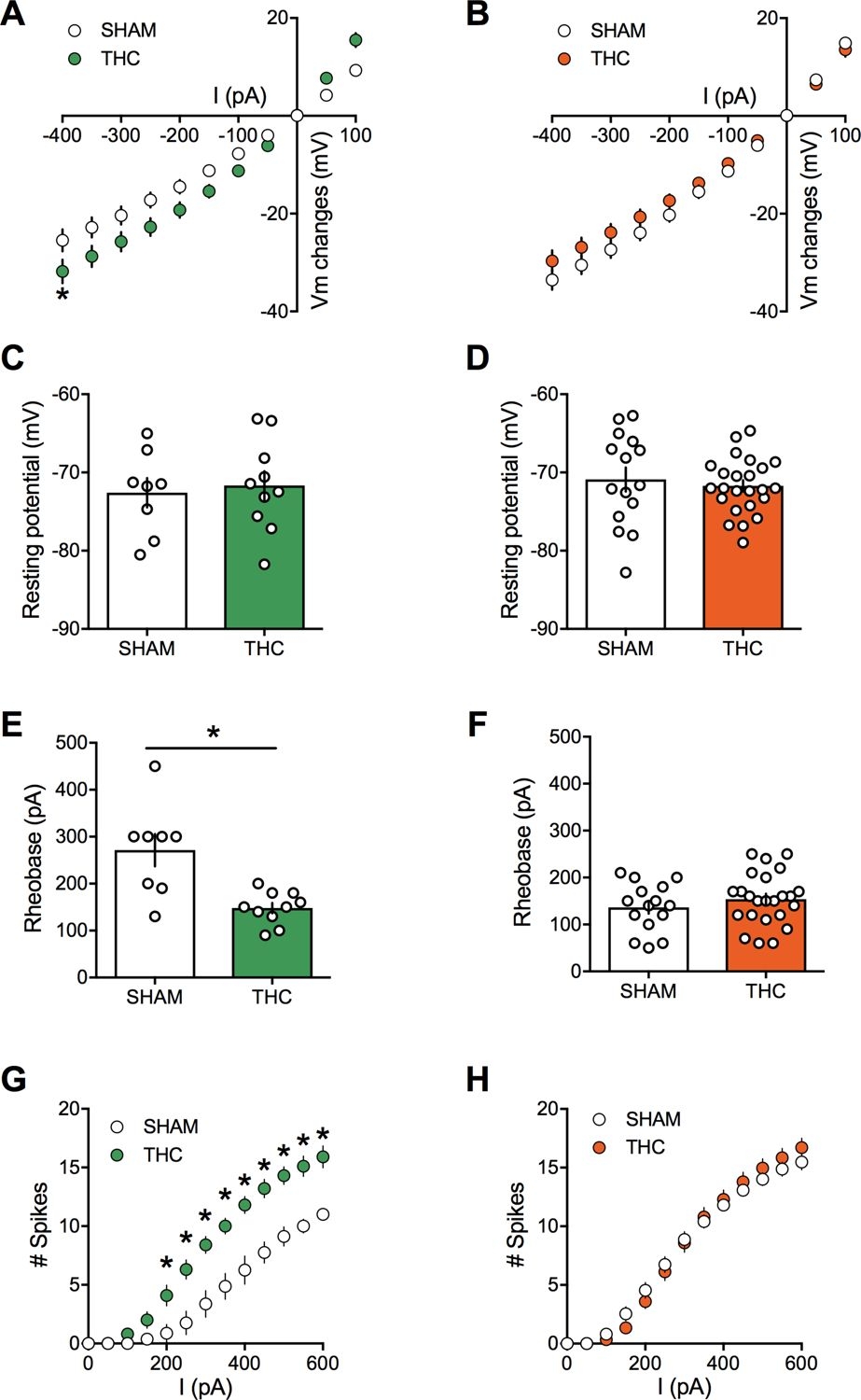 Sex Dependent Effects Of In Utero Cannabinoid Exposure On Cortical Function ELife