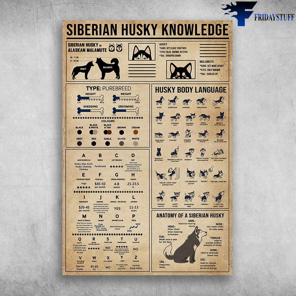 Siberian Husky Knowledge Husky Body Language FridayStuff Siberian Husky Knowledge Husky Body Language FridayStuff