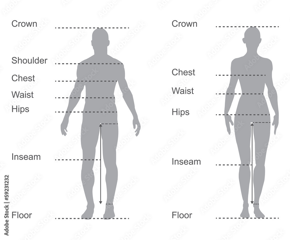Size Chart Measurement Diagram Body Measurements For Clothing Stock Vector Adobe Stock Size Chart Measurement Diagram Body Measurements For Clothing Stock Vector Adobe Stock