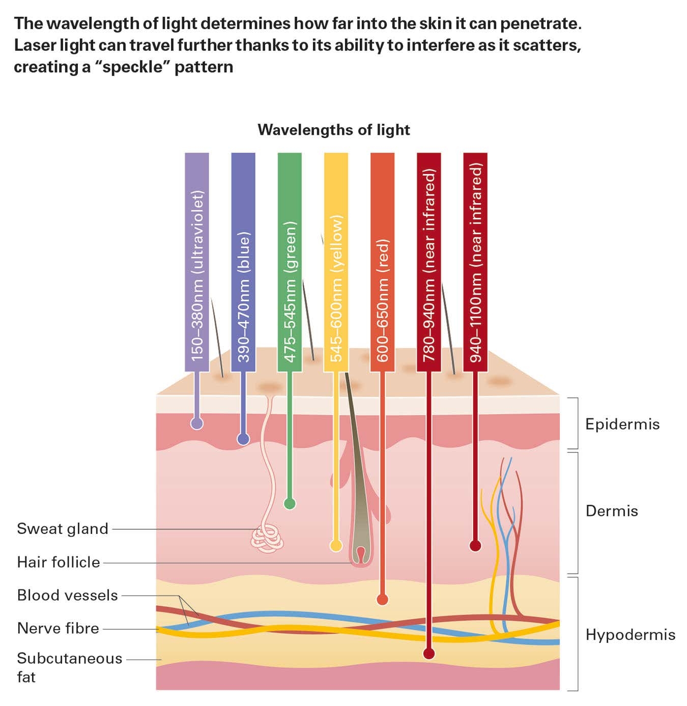 Skin Science And The Emerging Field Of Low Level Laser Therapy New Scientist