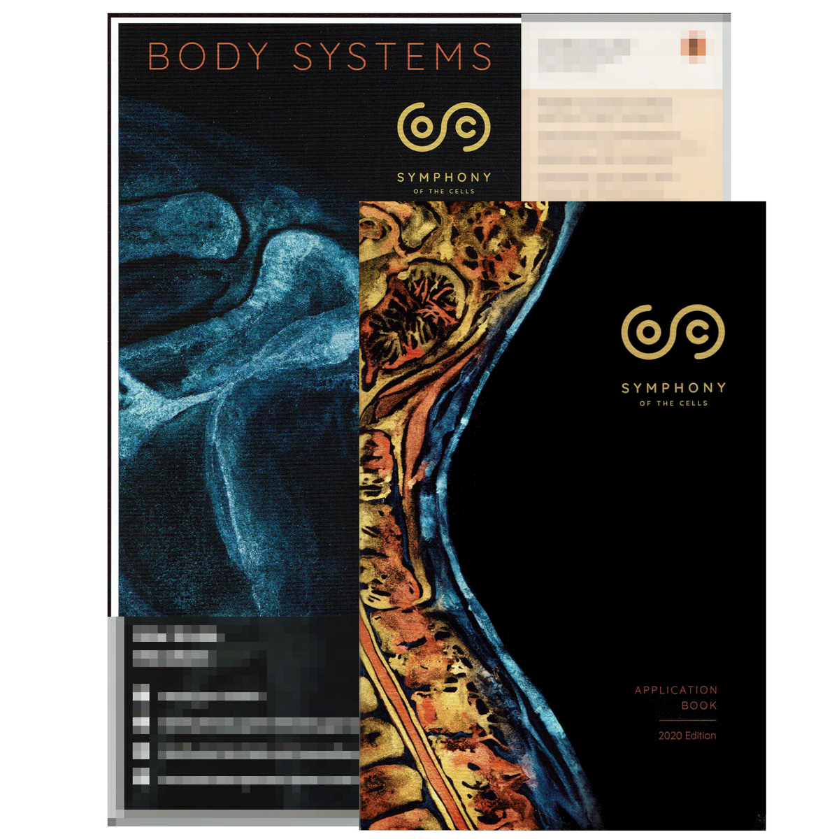 SOC Symphony Of The Cells Body System Chart Healthy You Stem Cell Based Therapy For Human Diseases Signal Transduction And Targeted Therapy