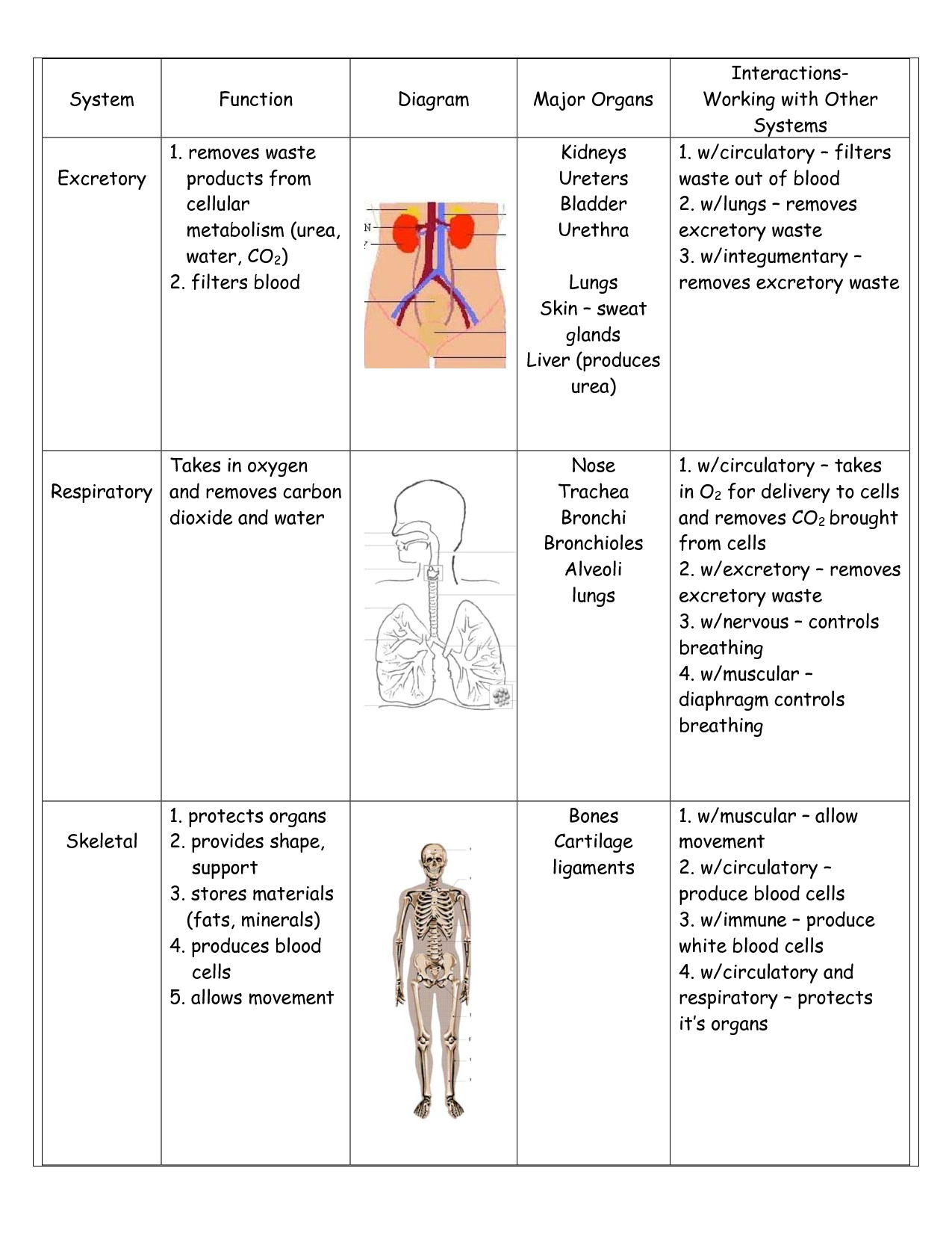 SOLUTION Body Systems Interactions Chart Studypool Worksheets Library SOLUTION Body Systems Interactions Chart Studypool Worksheets Library