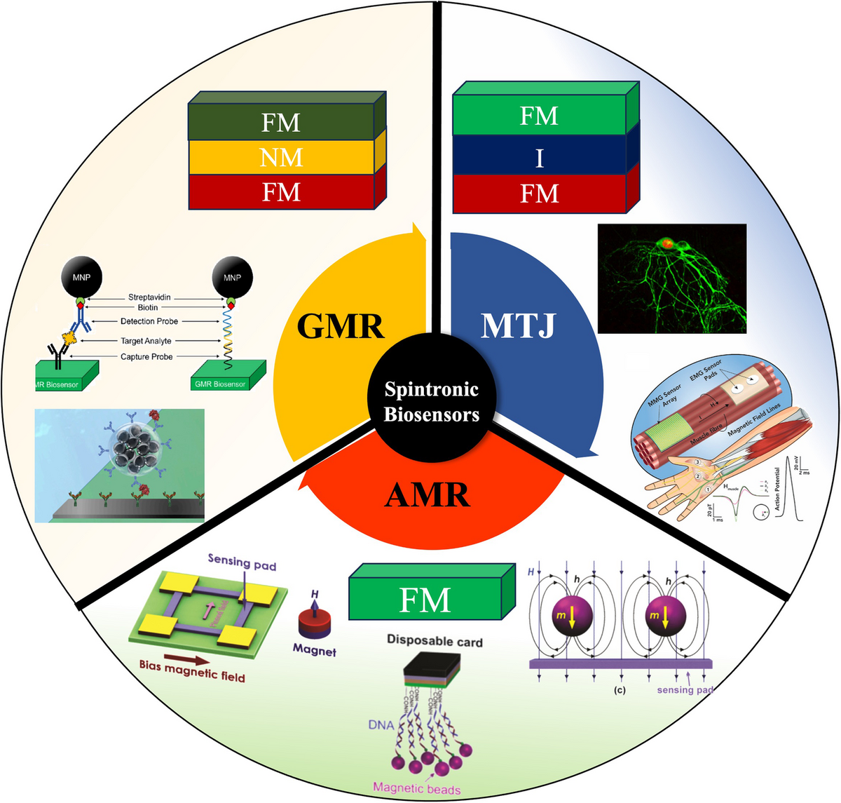 Spintronic Devices For Biomedical Applications Npj Spintronics Spintronic Devices For Biomedical Applications Npj Spintronics