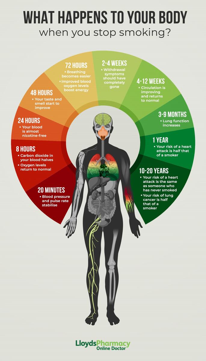 Stop Smoking Timeline LloydsPharmacy Online Doctor UK Stop Smoking Timeline LloydsPharmacy Online Doctor UK