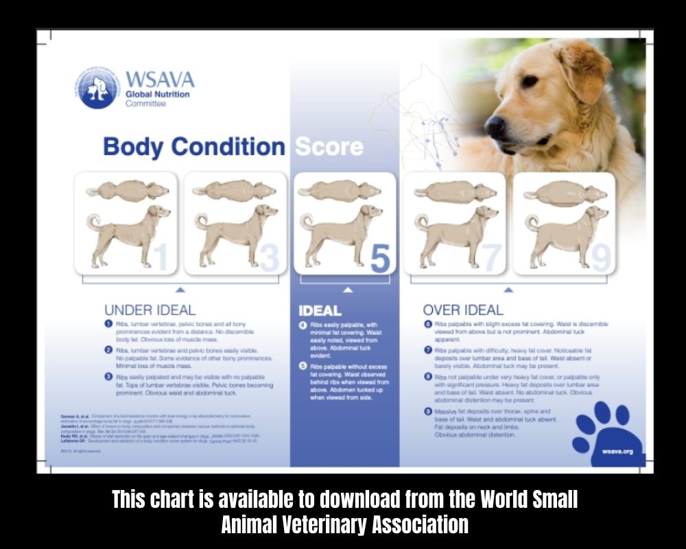 Strategies For Managing Weight In Food Obsessed Dogs With Printable Progress Charts Games The Labrador Site