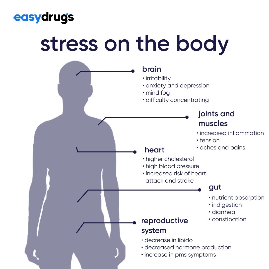How Does Stress Affect Your Immune System First Chiropractic