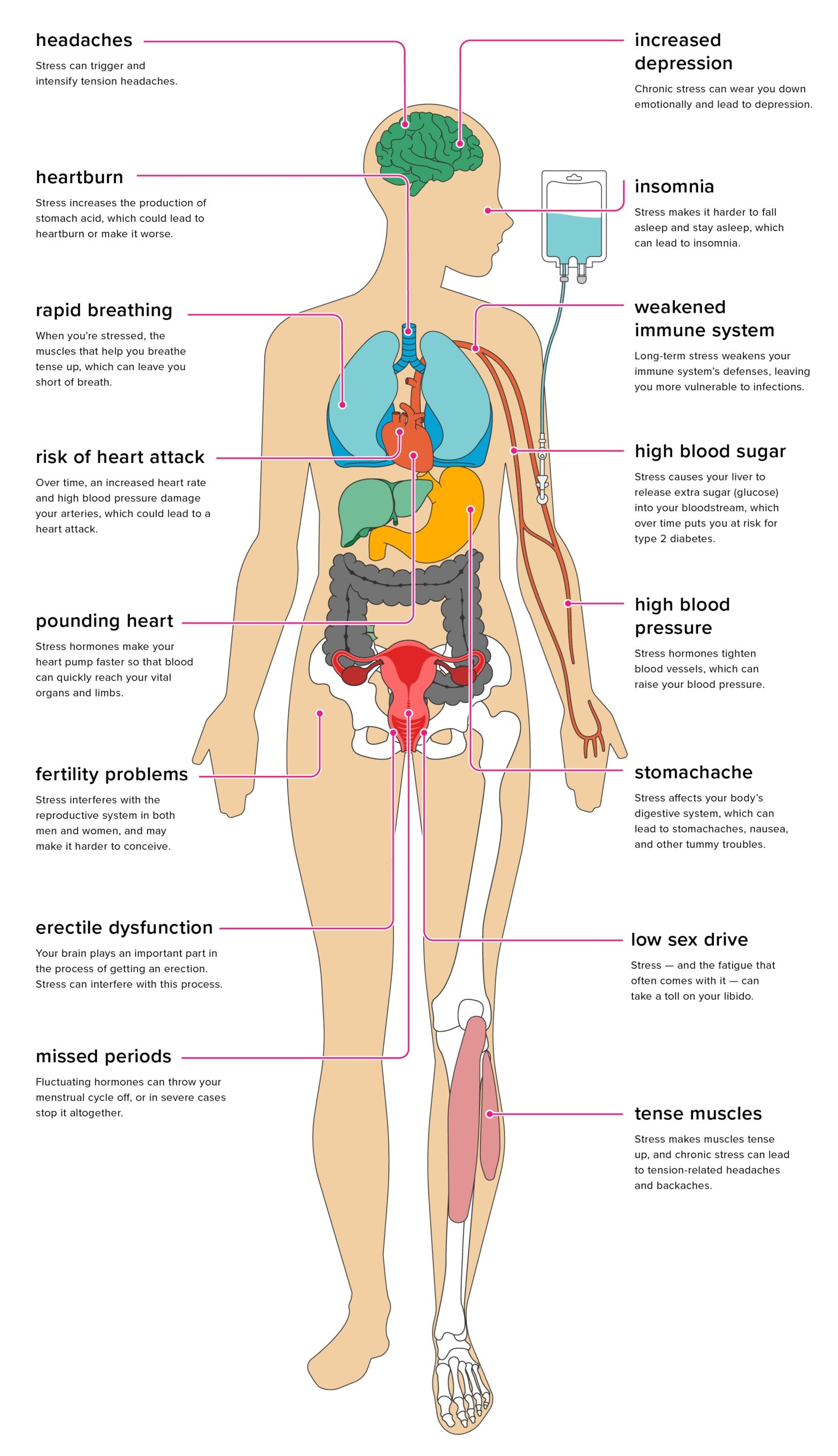 Stress What It Does To The Body