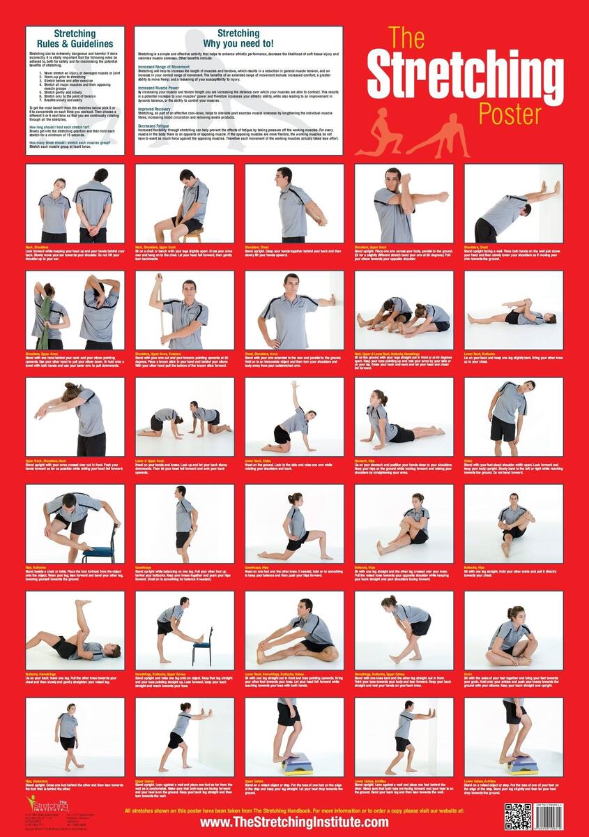 Stretching Poster Lower Body Flexibility Routine Flexibility Exercises Lower Body