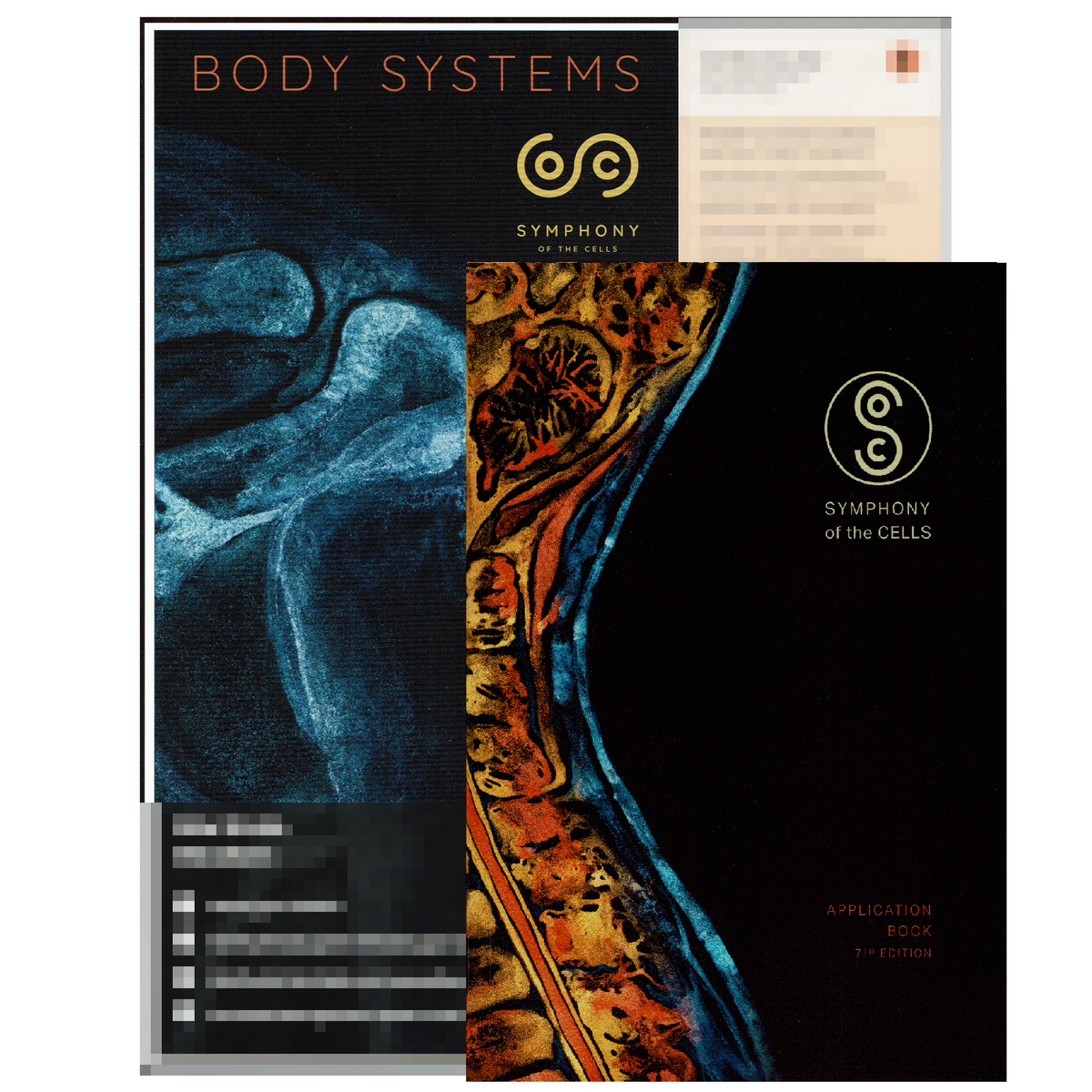 Symphony Of The Cells Application Book Body Systems Chart Bundle NEW 2022 EDITION English For Oils
