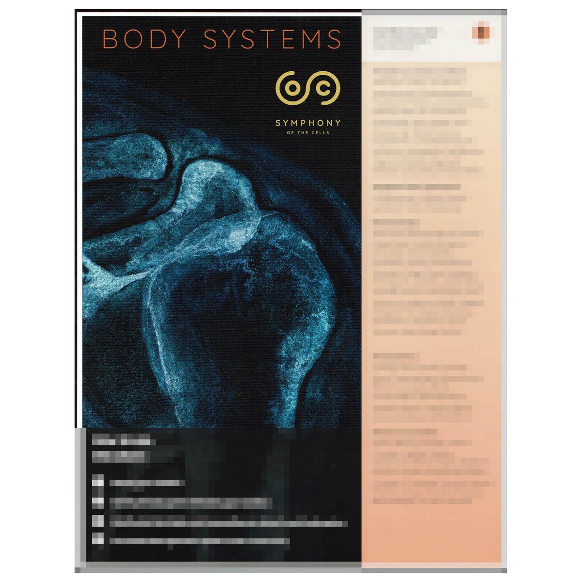 Stem Cell Based Therapy For Human Diseases Signal Transduction And Targeted Therapy