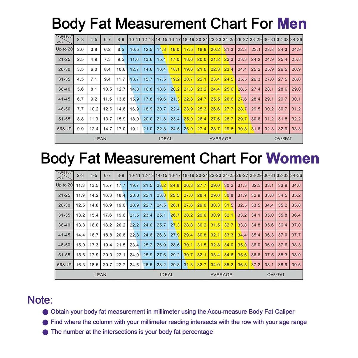 Tape Measure Body Measuring Tape Genuine Accu Measure Fitness 3000 Body Fat Caliper Metal Body Fat Caliper Tape Measure Body Measuring Tape Genuine Accu Measure Fitness 3000 Body Fat Caliper Metal Body Fat Caliper