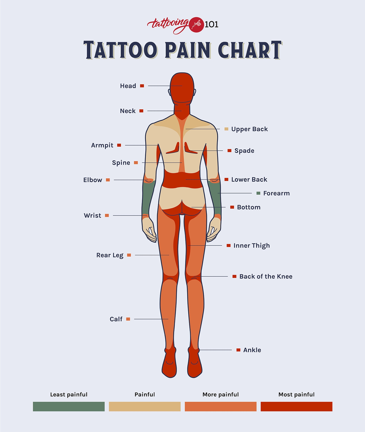 Tattoo Pain Chart Tattooing 101