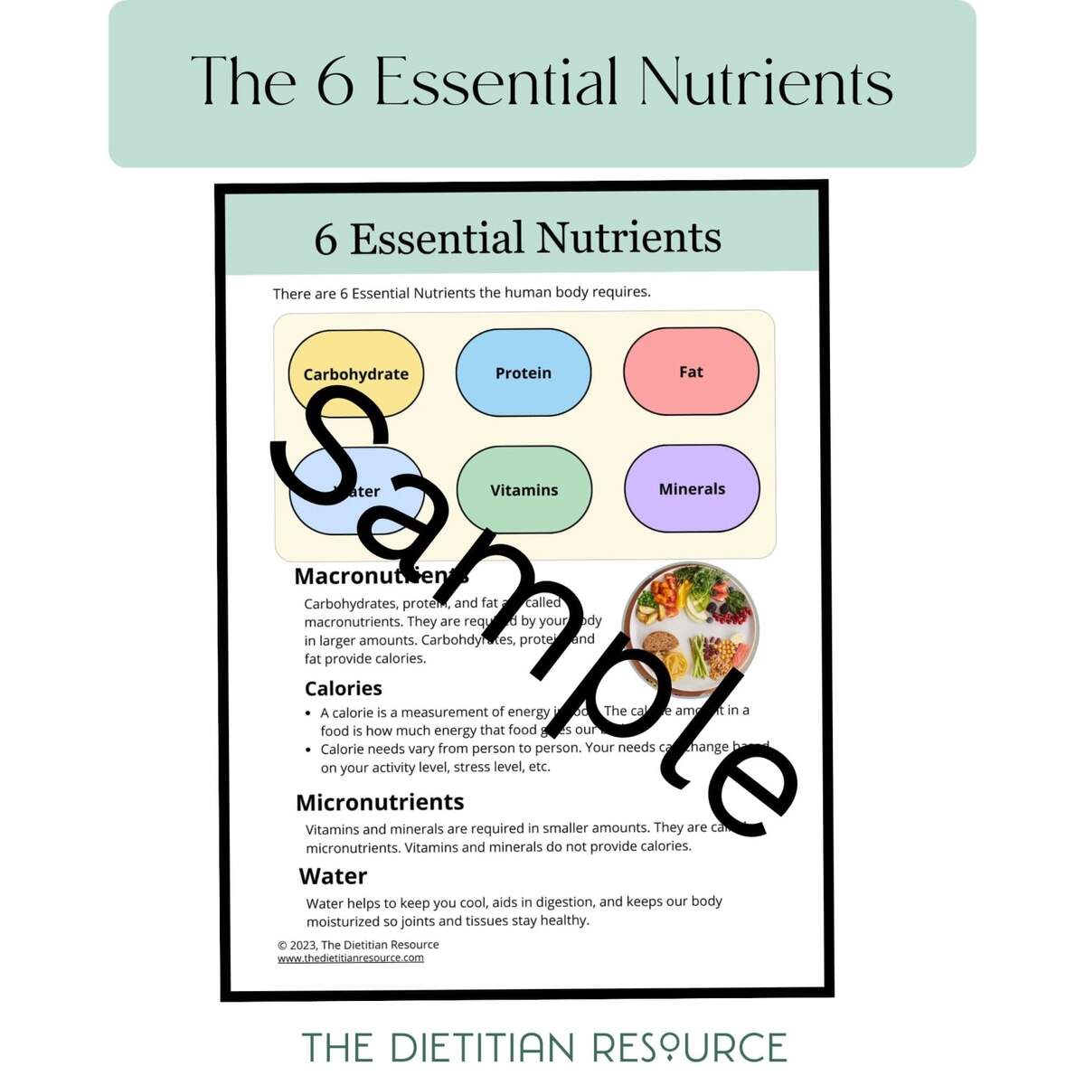 The 6 Essential Nutrients Handout The Dietitian Resource
