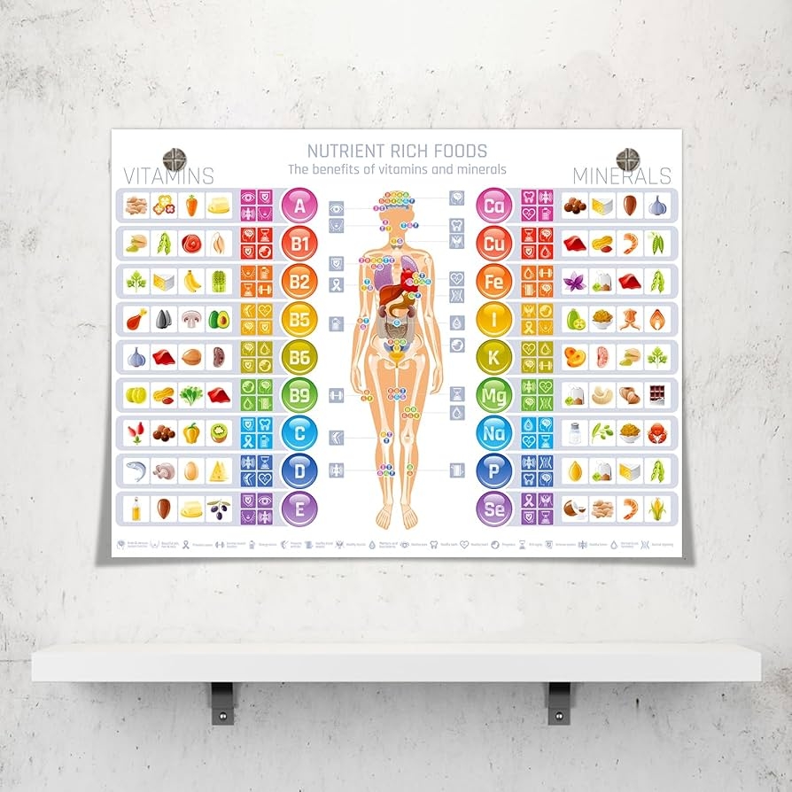 The Benefits Of Vitamin And Mineral Chart Poster Print Nutrients And Food With Showing The Corresponding Body Parts Canvas Wall Art Healthy Food Picture For Kitchen School Wall Decor 8X12in Unframed Amazon Ca