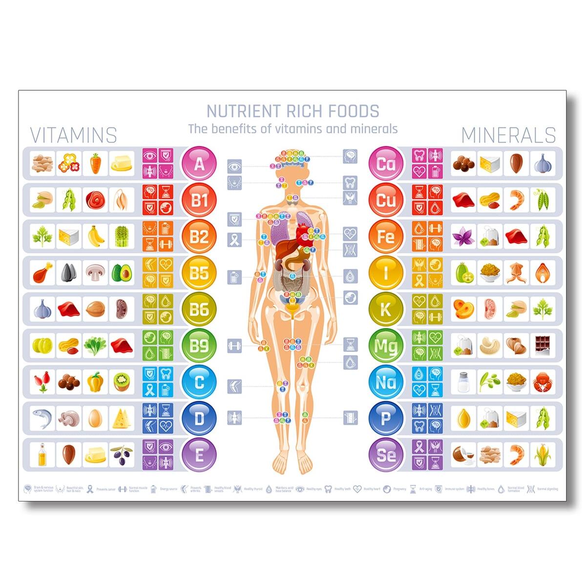 The Benefits Of Vitamin And Mineral Chart Poster Print Nutrients And Food With Showing The Corresponding Body Parts Canvas Wall Art Healthy Food Picture For Kitchen School Wall Decor 8X12in Unframed Amazon Ca