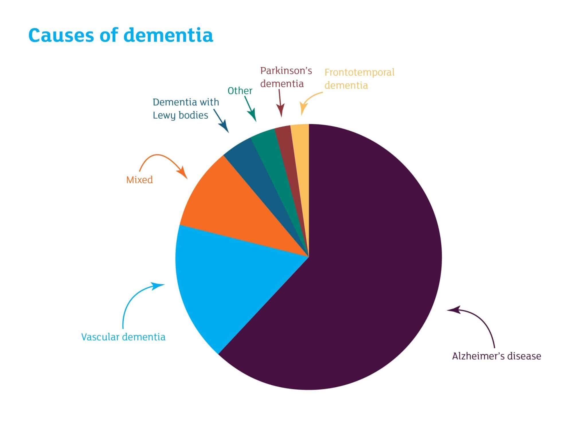 The Blood And The Brain Where Is The Link Alzheimer S Research UK The Blood And The Brain Where Is The Link Alzheimer S Research UK