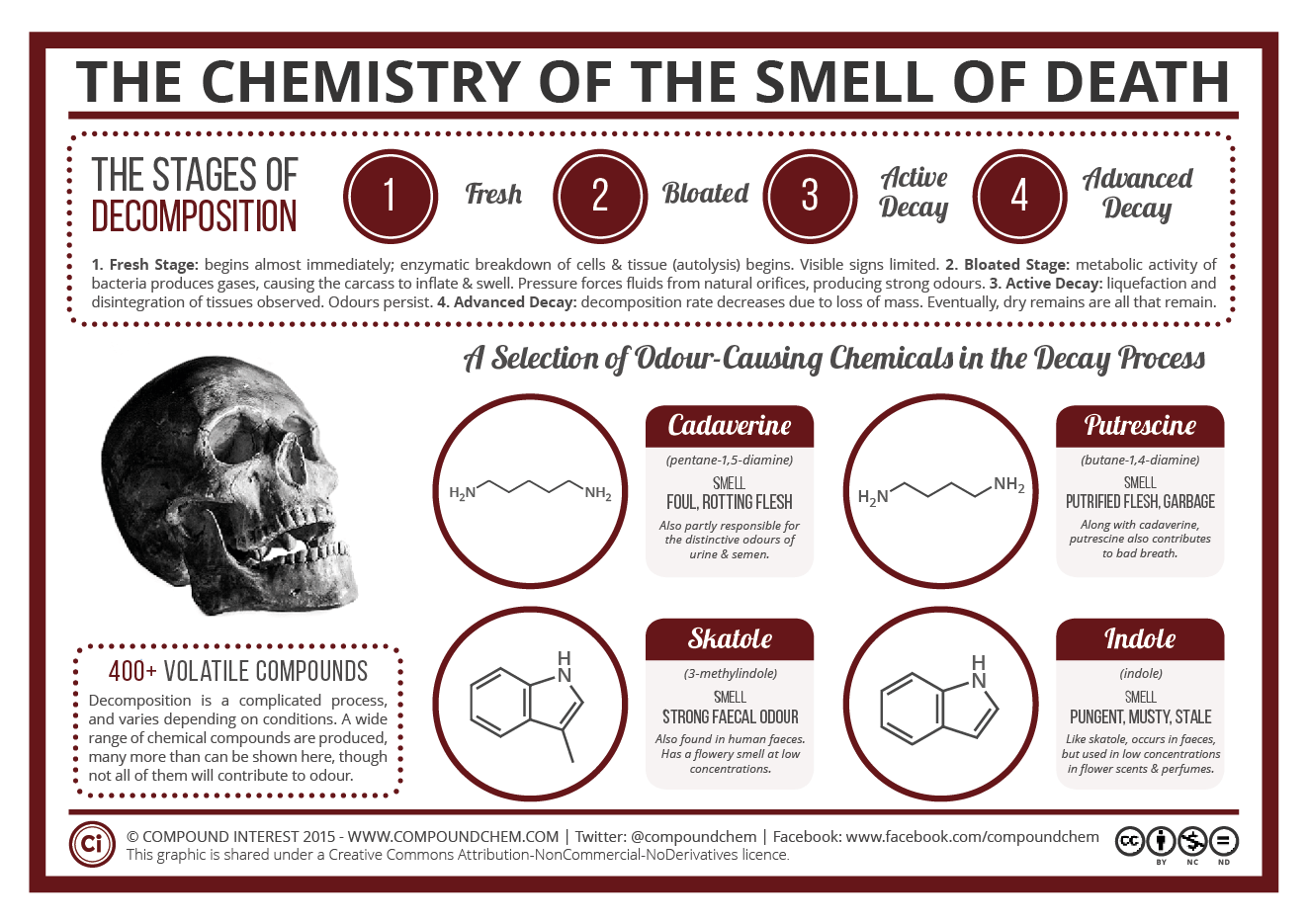 The Chemistry Of The Odour Of Decomposition The Chemistry Of The Odour Of Decomposition