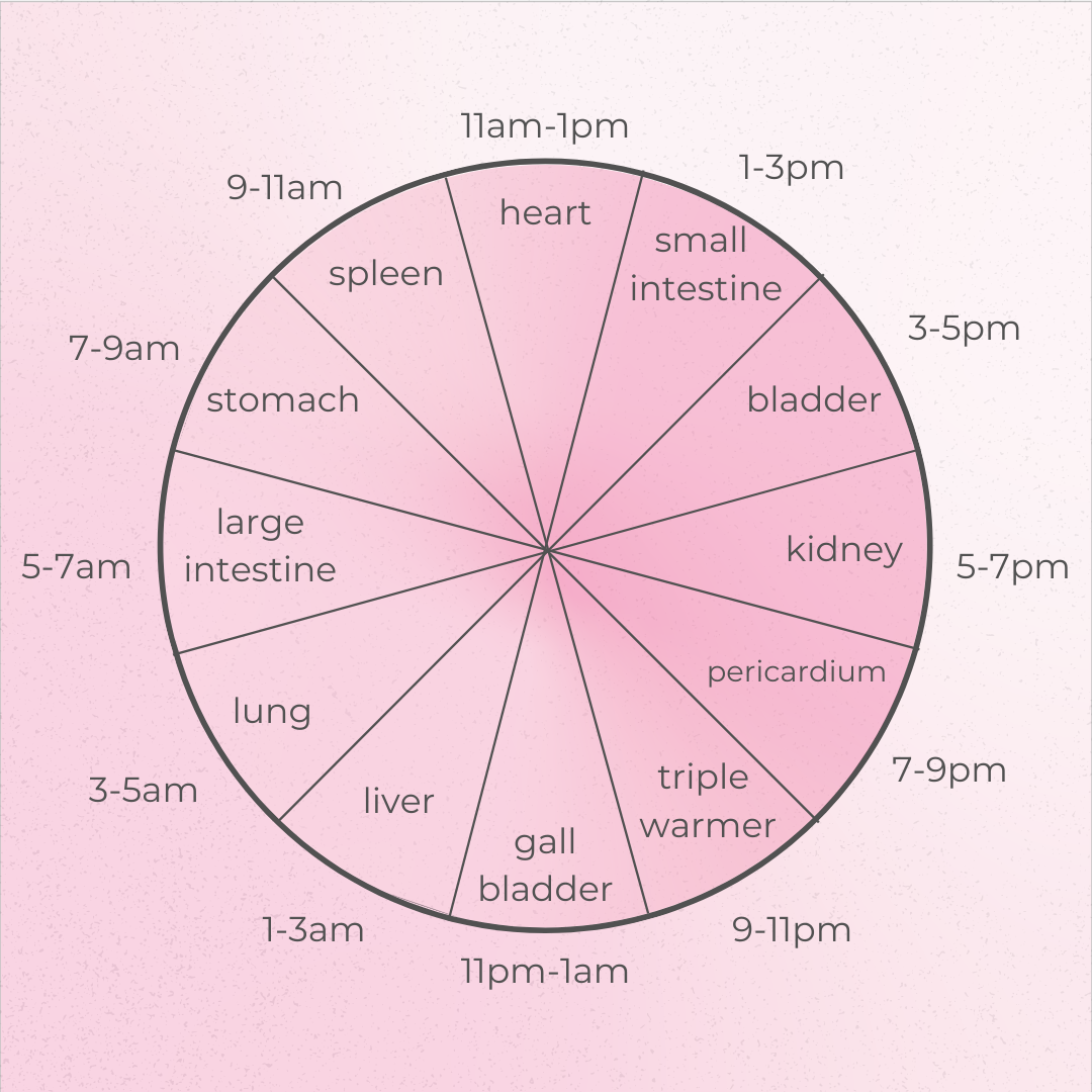 The Chinese Medicine Body Clock Why Timing Of Symptoms Matters