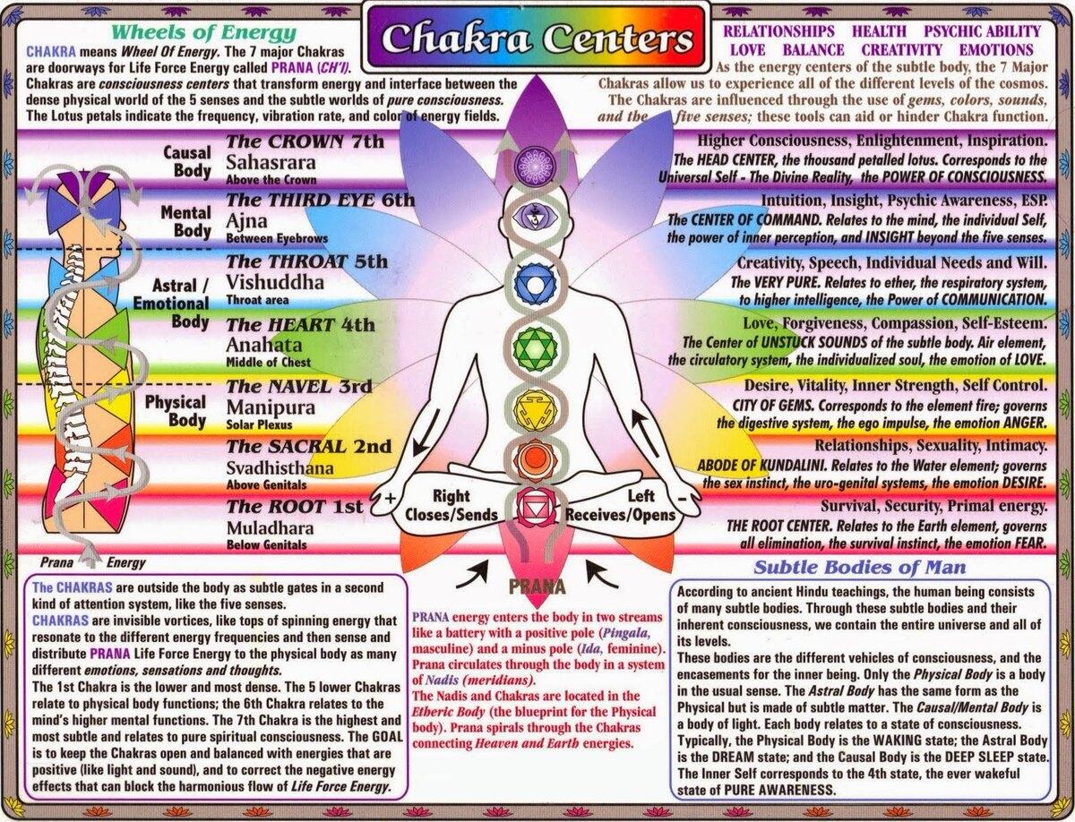 The Color Of The Chakras Aligns W Connor S Character Development In DetroitBecomeHuman Based On Player Choice Blue New Pure Connor As Designed By CyberLife Yellow I Used To Identify Moments Of Deviation The Color Of The Chakras Aligns W Connor S Character Development In DetroitBecomeHuman Based On Player Choice Blue New Pure Connor As Designed By CyberLife Yellow I Used To Identify Moments Of Deviation