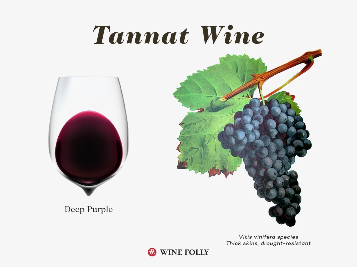 The Comprehensive Guide To Tannat Wine Folly