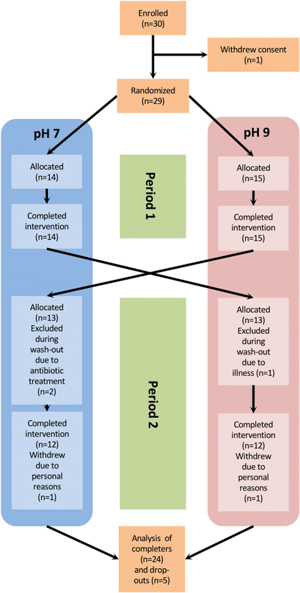 The Effect Of Drinking Water PH On The Human Gut Microbiota And Glucose Regulation Results Of A Randomized Controlled Cross Over Intervention Scientific Reports