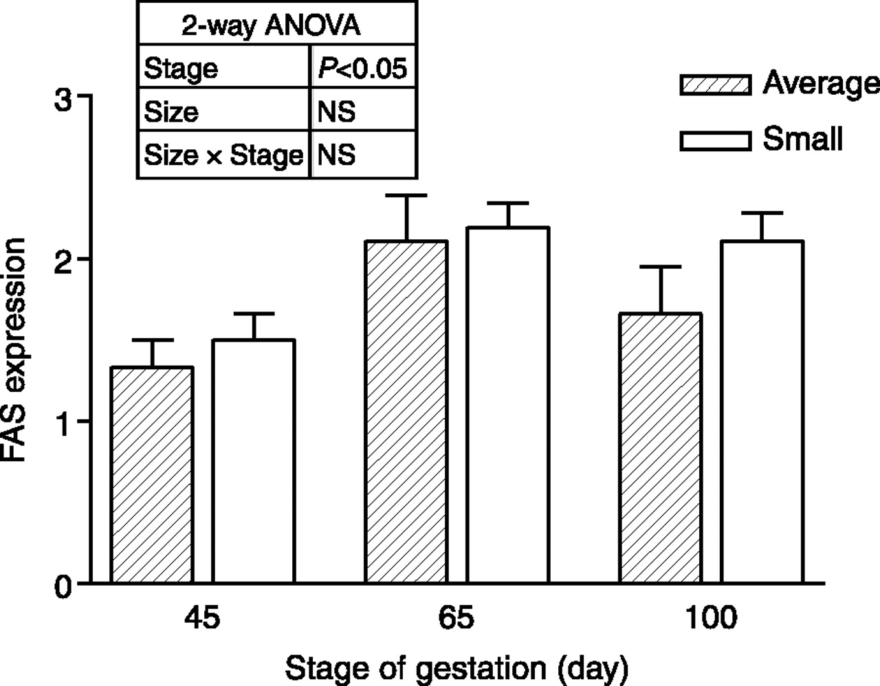 The Effect Of Fetal Pig Size And Stage Of Gestation On Tissue Fatty Acid Metabolism And Profile In Reproduction Volume 129 Issue 6 2005