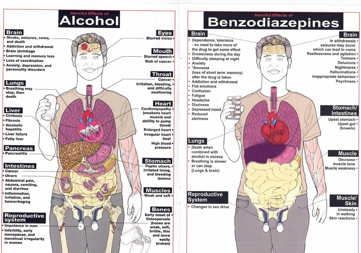 The Effects Of Alcohol Drugs On The Body