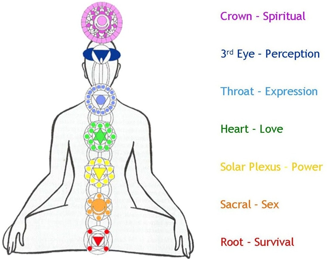 The Human Body Energy Centers The Seven Chakras Fit Lotus