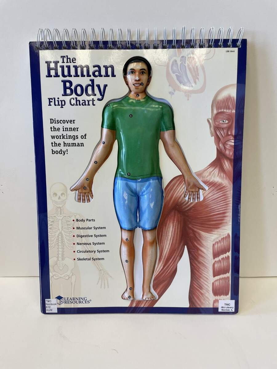 The Human Body Flip Chart Discover The Inner Workings Of The Human Body Illinois State University ISU Normal IL