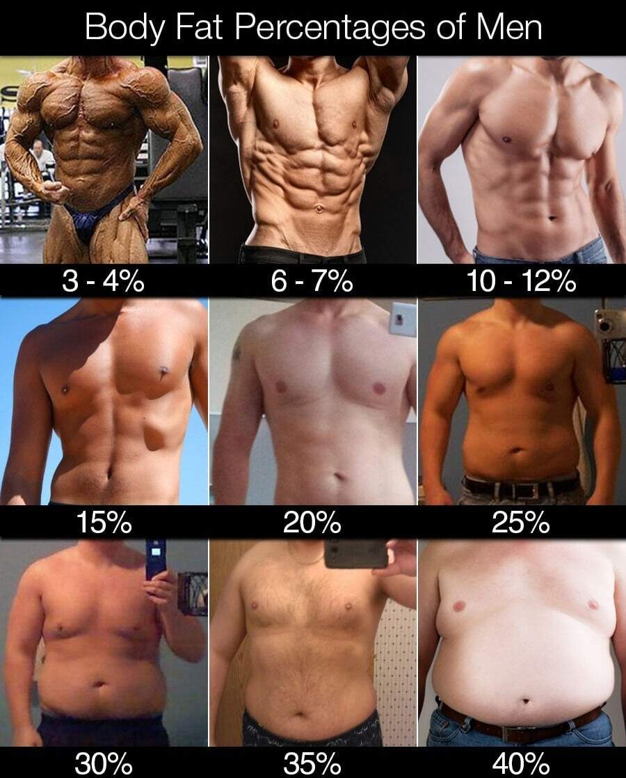 THE IDEAL BODY FAT PERCENTAGE FOR ABS THE IDEAL BODY FAT PERCENTAGE FOR ABS