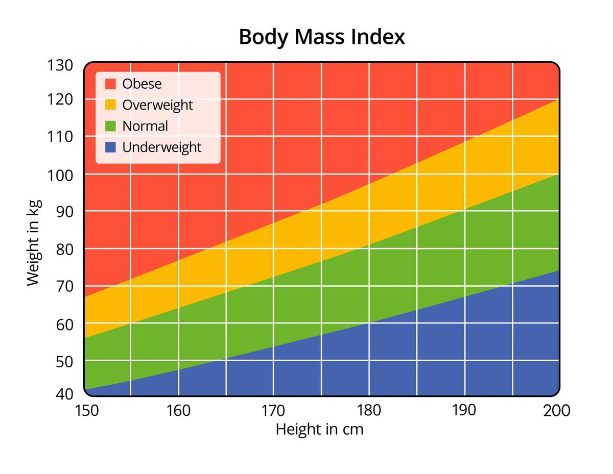 The Importance Of Knowing Your Body Mass Index BMI The Importance Of Knowing Your Body Mass Index BMI