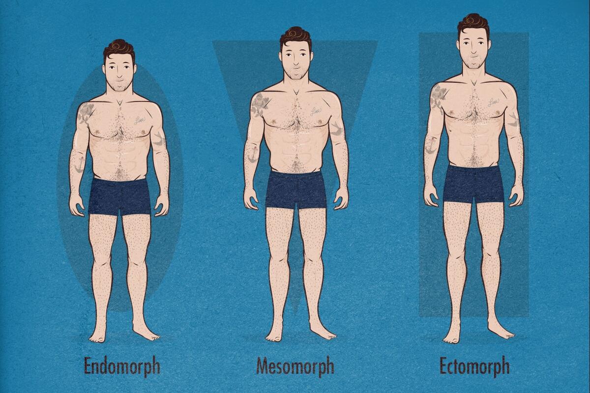 Man With Different Body Sizes Vector Chart Stock Vector Illustration Of Overweight Human 230813345