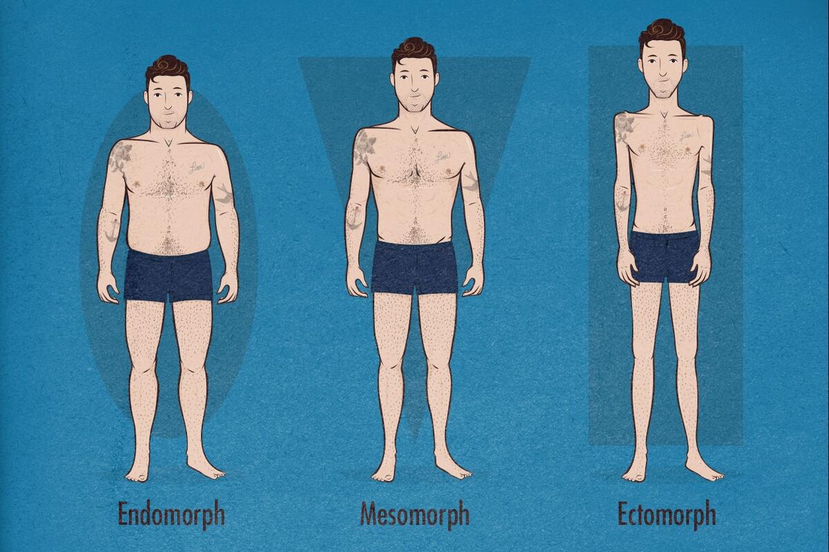 Do You Know Of Many Good Male Body Type Charts Out There The Only Ones I Can Find Or Either Jokes Or Super Exaggerated Sketches By Lexie On Tumblr